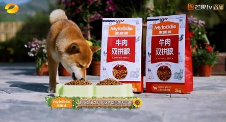 向往的生活為小H加餐 麥富迪雙拼糧深得歡心的寵物食品選擇