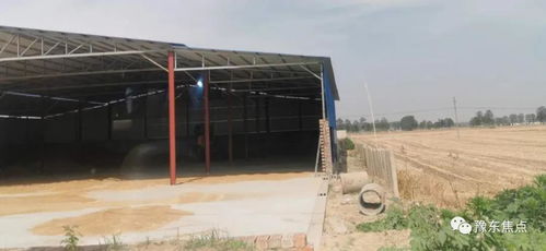 河南虞城大侯鄉 養豬廠轉型收糧站，發展家禽養殖新路徑